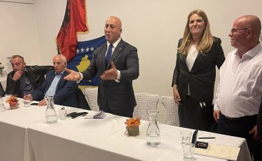 Haradinaj nga Austria: Diaspora është vlerë e pakontestueshme e jona!