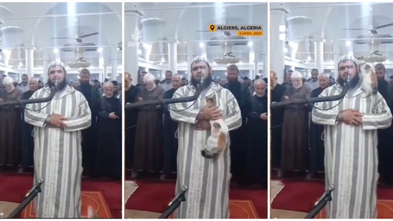 Imami i xhamisë në Algjeri po falej kur një mace i hipi në gjoks, ai për asnjë moment nuk i ndali lutjet – përkundrazi ledhatoi kafshën