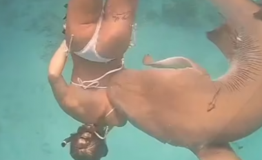 Peshkaqeni kafshon turisten në Maldive