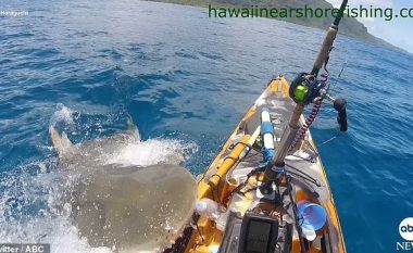 Kishte dalë për të lundruar me kajak brigjeve të Havait, momenti kur peshkatari për “një fije floku” i shpëton peshkaqenit 5-metërsh