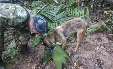 Fëmijët që u zhdukën një muaj më parë në xhunglën e Kolumbisë janë gjallë, ekipet e shpëtimit gjetëm gjurmë që ata i mbijetuan rrëzimit të aeroplanit