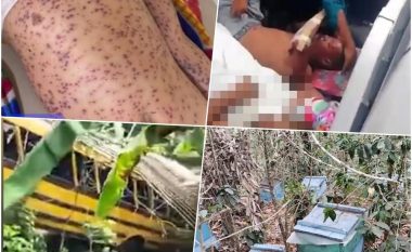 Bletët mbysin gjashtë persona në Nikaragua, autobusi doli nga e rruga drejt në kosheret e insekteve vdekjeprurëse