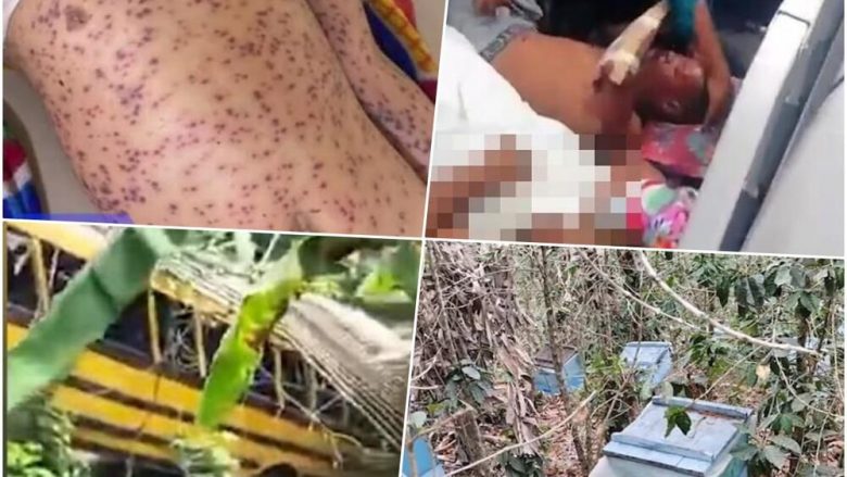 Bletët mbysin gjashtë persona në Nikaragua, autobusi doli nga e rruga drejt në kosheret e insekteve vdekjeprurëse