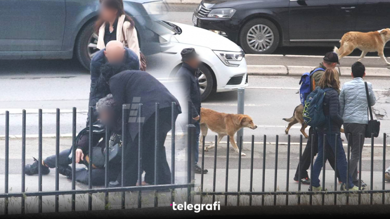 Qytetari sulmohet nga qentë endacak në qendër të Prishtinës