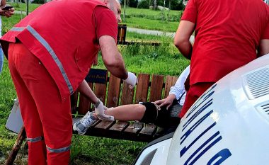 Një grua sulmohet nga qentë endacakë në Prishtinë – merr tretman mjekësor