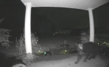 Ariu vizitoi verandën e një pronari shtëpie në Virxhinia, i ra ziles dhe iku me vrap nga aty