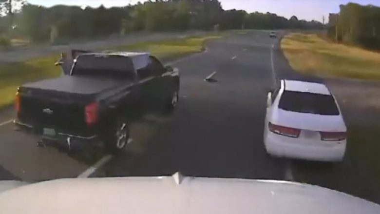 Shoferi në Florida ndalon për të ndihmuar breshkën, shkakton ‘kaos’ në autostradë