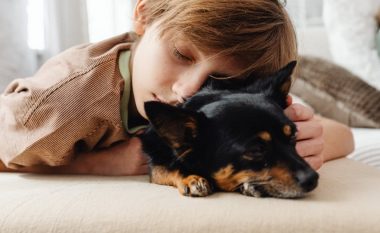 Pse nuk është mirë të flini me kafshë shtëpiake
