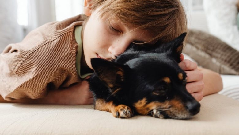 Pse nuk është mirë të flini me kafshë shtëpiake