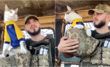 ‘Macja luftarake’ në vëzhgim – një video interesante nga ushtarët ukrainas