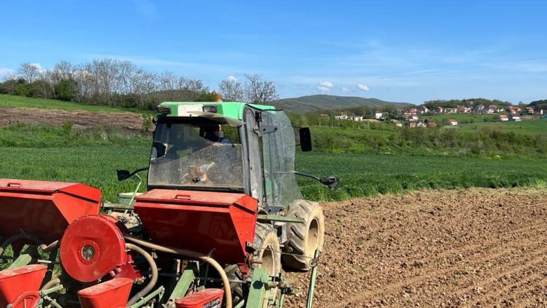 Peci: Kosova shënon rekordin e të mbjellave këtë vit