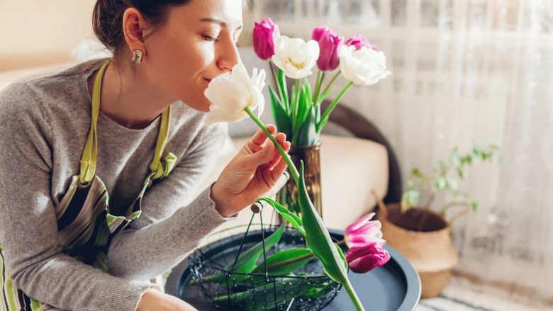 Bukuroshet e pranverës: Si t’i mbani tulipanët tuaj të freskët deri në 10 ditë?