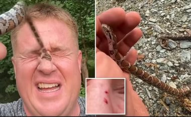 Gjithçka për disa klikime, YouTuberi amerikan lejon të kafshohet 50 herë nga gjarpri
