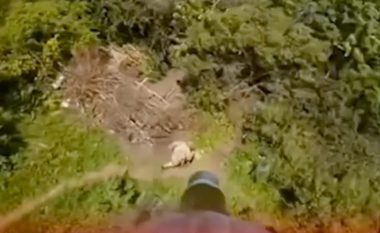 Menduan se mund t’i ikin dronit ukrainas duke vrapuar në pyje, u gabuan rëndë rusët – e pësuan keq