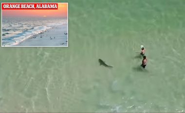 Peshkaqeni noton pak metra larg burrit dhe djalit të vogël në Alabama, për fat nuk lëndohet askush – pamjet me dron tregojnë momentin