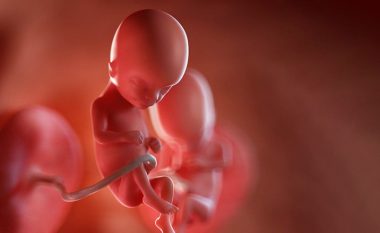 Java e 15-të e shtatzënisë: Barku juaj tashmë po merr formë dhe bebja juaj po argëtohet në lëngun amniotik