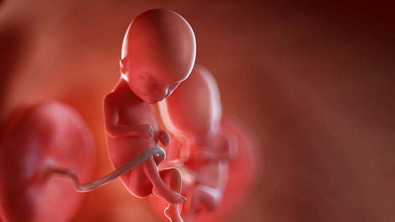 Java e 15-të e shtatzënisë: Barku juaj tashmë po merr formë dhe bebja juaj po argëtohet në lëngun amniotik