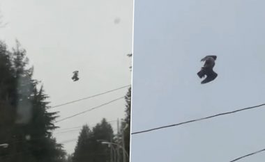 “Një zog që nuk lëviz në qiell” – pamje që janë bërë sërish virale pasi u rifshaqën në internet