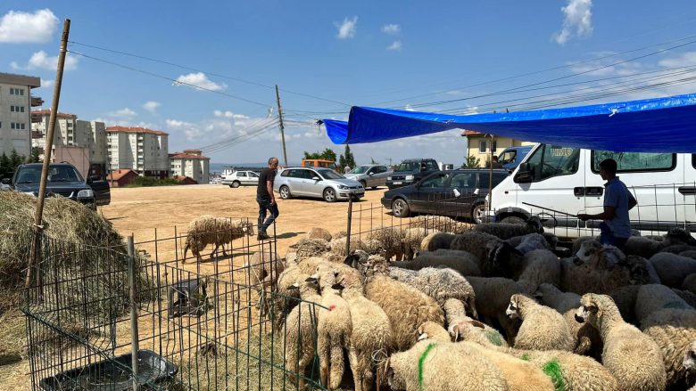 Inspektorati në Prishtinë ndalon shitjen dhe therjen e kafshëve në rrugë