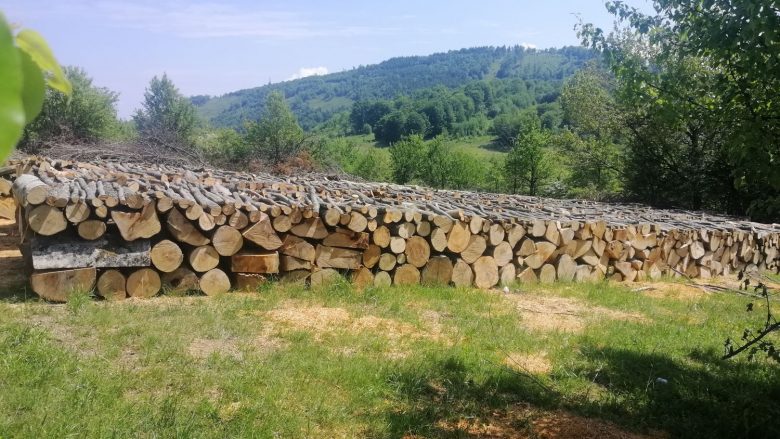 Policia konfiskon rreth 70 metra dru të kontrabanduara nga Serbia në Kosovë
