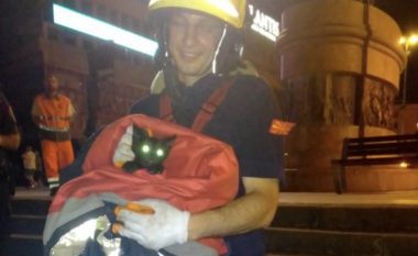Zjarrfikësi nga Shkupi shpëtoi macën pranë Urës së Gurit