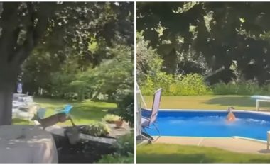 Dreri hyri brenda shtëpisë së një gruaje në New Jersey, përfundoi më pas në pishinë