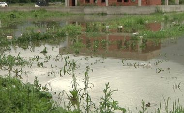 Rritet niveli i ujit në lumin Vardar, në rrezik rajoni i Pollogut