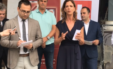 Ambasadorja e Zvicrës në Maqedoni me apel: Përveç universitetit, sistemi dual i trajnimit mundëson vende të mira pune