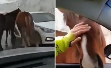Kuajt ndalojnë veturat në rrugë që të marrin ledhatime prej shoferëve