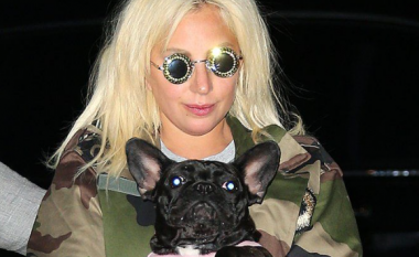 Lady Gaga refuzon të paguajë dëmshpërblimin prej 500 mijë eurosh që e ofroi për gjetjen e qenve të saj