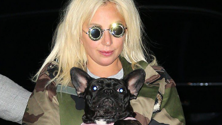 Lady Gaga refuzon të paguajë dëmshpërblimin prej 500 mijë eurosh që e ofroi për gjetjen e qenve të saj