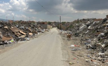 Në deponinë në Shuto Orizare kamionët me mbeturina vazhdojnë të zbrazen njëri pas tjetrit pa i dhënë llogari askujt