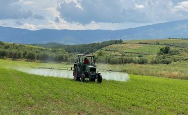 Karkaleci dëmton të mbjellat në Shqipëri, Ministria e Bujqësisë nis aksionin për dezifektimin e zonave të prekura