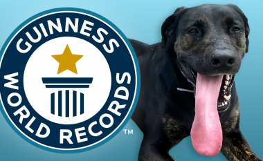 Qeni nga Luiziana thyen rekordin botëror – gjutha e tij ka një gjatësi të jashtëzakonshme