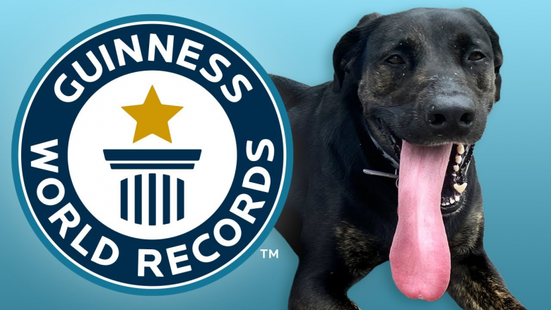 Qeni nga Luiziana thyen rekordin botëror – gjuha e tij ka një gjatësi të jashtëzakonshme