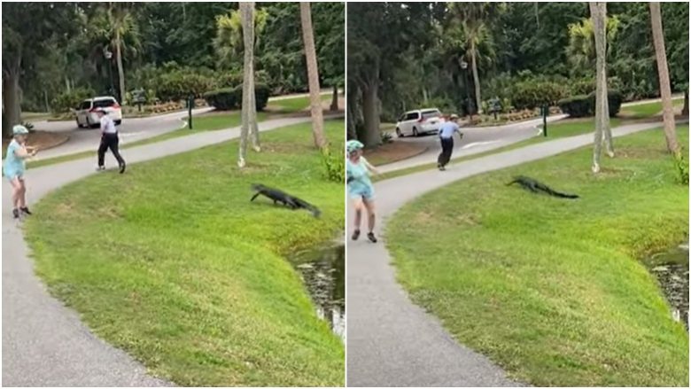 Ndërsa një burrë po peshkonte, një aligator doli nga liqeni në Karolinë të Jugut dhe filloi ta ndiqte
