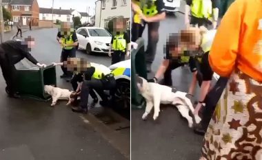 U telefonuan nga frika se do ta pësojnë fëmijët, policia britanike godet me elektroshok qenin – e fusin në shportë plehrash