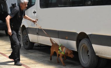 Dogana e Maqedonisë bëhet edhe me një qen nuhatës për zbulimin e narkotikëve, armëve dhe parave