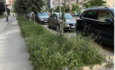 Banorët e rrugës “C”, ankohen se Komuna e Prishtinës nuk ka rregulluar hapësirën gjelbëruese