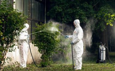 Qytetarët në Prishtinë ankohen për probleme me mushkonja, Komuna thotë se nuk ka mundur të bëjë dezinsektimin gjatë qershorit