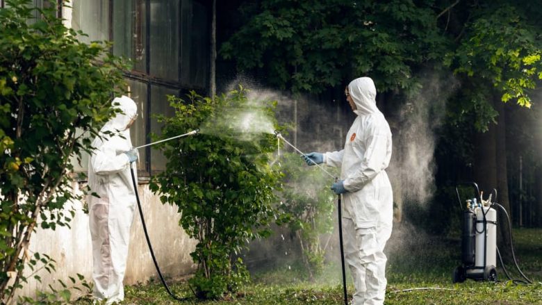 Qytetarët në Prishtinë ankohen për probleme me mushkonja, Komuna thotë se nuk ka mundur të bëjë dezinsektimin gjatë qershorit