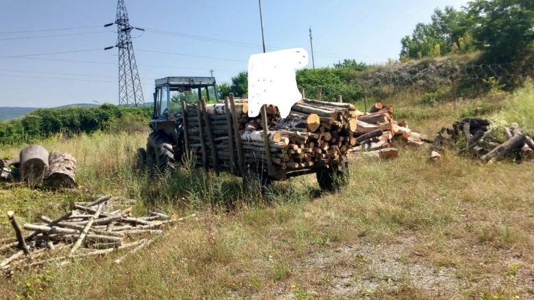 Arrestohen dy persona për prerje ilegale të pyllit në Suharekë, u sekuestrohen drutë