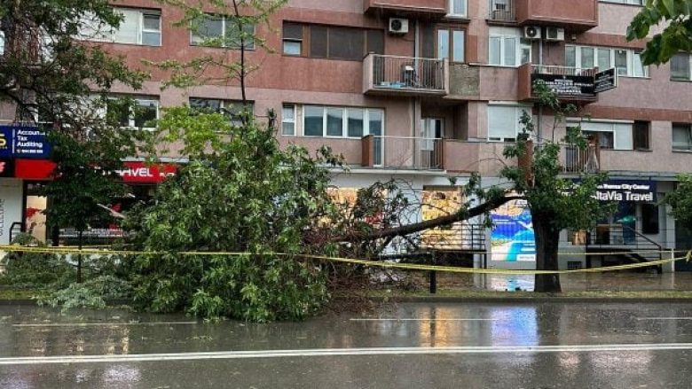 Erërat e fuqishme rrëzojnë drunjtë në Prishtinë