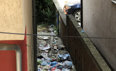Probleme me mbeturina, ankohen banorët në Fushë Kosovë