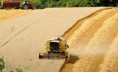 Hetim përdorimit të fondeve të IPARD II, BE-ja ndërpret rimbursimin për bujqësinë në Shqipëri