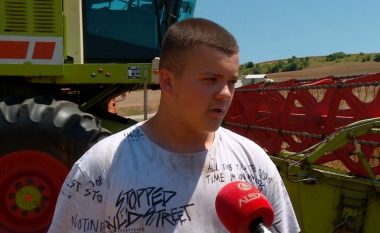 15 vjeçari që ndihmon familjen në punët bujqësore në Maqedoni
