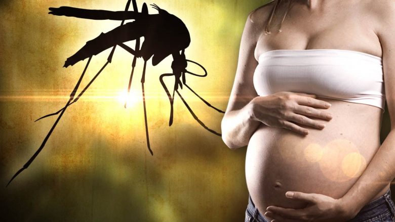 A i kanë mushkonjat më shumë në qejf gratë shtatzëna?