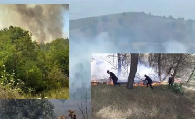 Shqipëria nis “luftën” me zjarret, vatrat e para në Vlorë dhe Fier