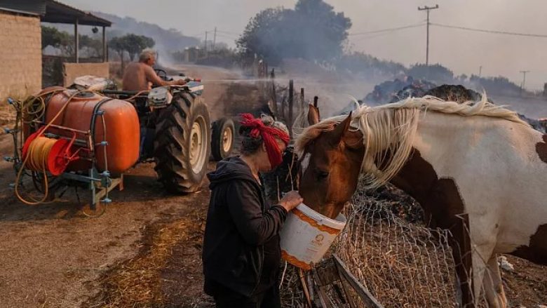 Kafshë të panumërta janë vrarë nga zjarret që shpërthyen në Greqi këtë javë
