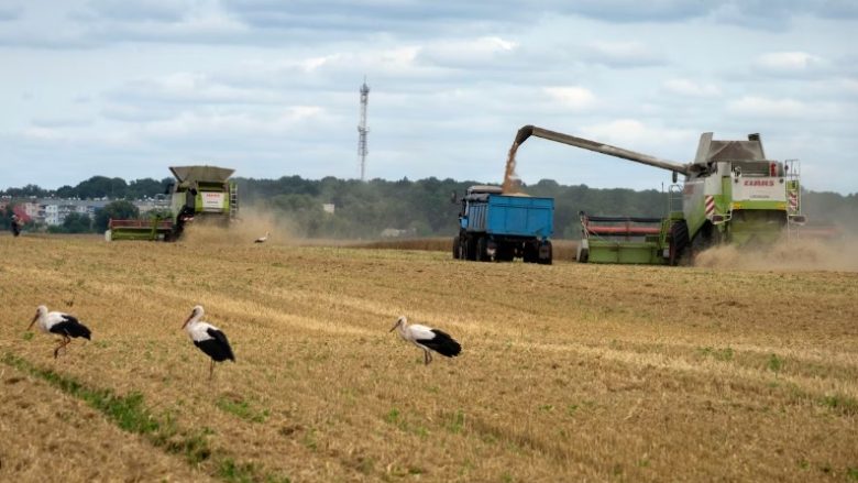 Pesë vende evropiane do të zgjasin ndalimin e eksportit të grurit të Ukrainës